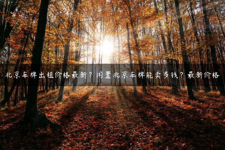 北京车牌出租价格最新？闲置北京车牌能卖多钱？最新价格