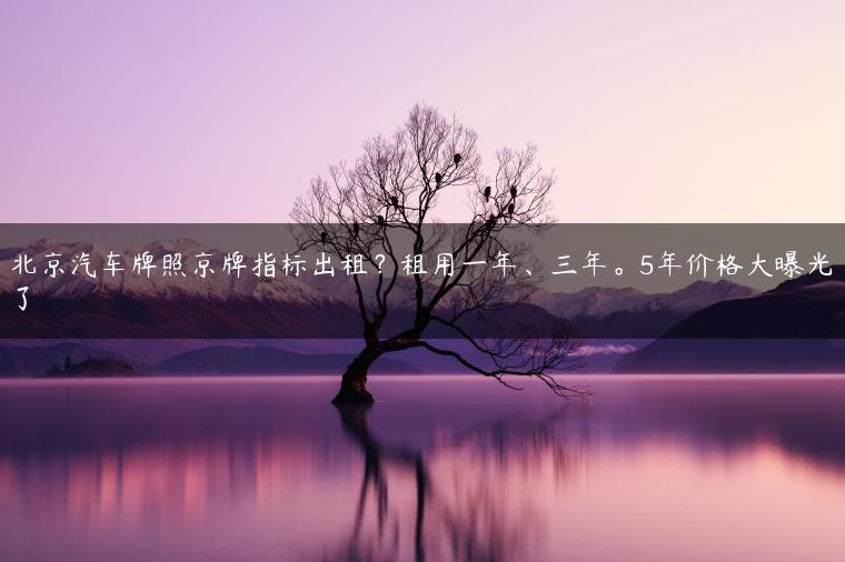 北京汽车牌照京牌指标出租？租用一年、三年。5年价格大曝光了