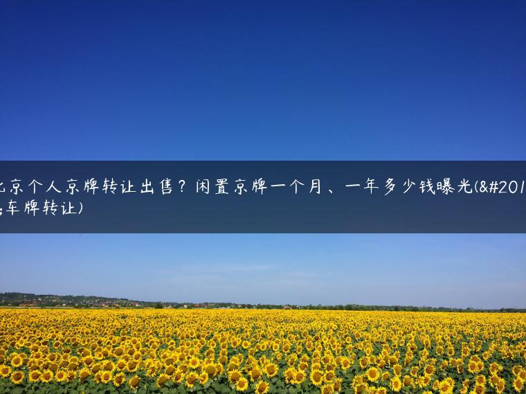 北京个人京牌转让出售？闲置京牌一个月、一年多少钱曝光(京车牌转让)-金牌车友