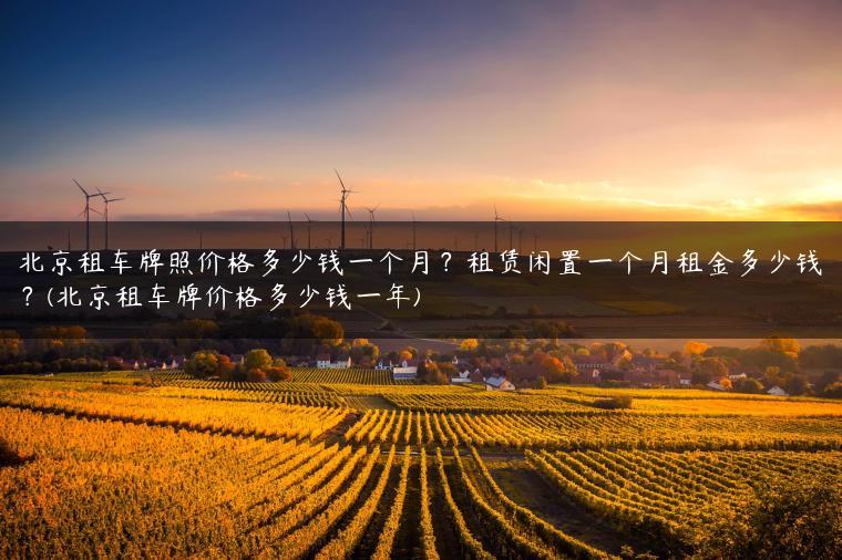北京租车牌照价格多少钱一个月？租赁闲置一个月租金多少钱？(北京租车牌价格多少钱一年)