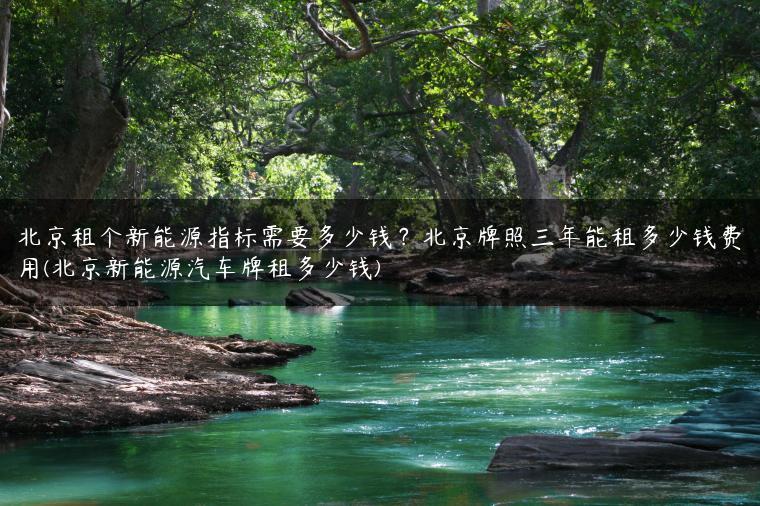 北京租个新能源指标需要多少钱？北京牌照三年能租多少钱费用(北京新能源汽车牌租多少钱)