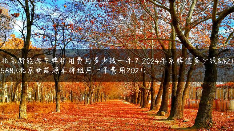北京新能源车牌租用费用多少钱一年？2024年京牌值多少钱呀(北京新能源车牌租用一年费用2021)