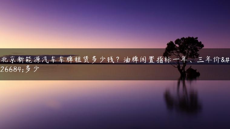 北京新能源汽车车牌租赁多少钱？油牌闲置指标一年、三年价格多少