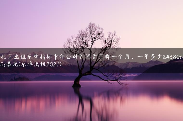 北京出租车牌指标中介公司？闲置京牌一个月、一年多少钱曝光(京牌出租2021)