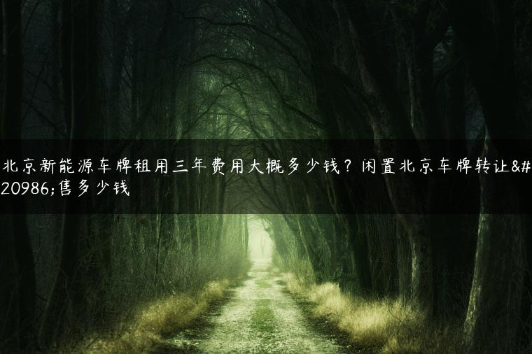 北京新能源车牌租用三年费用大概多少钱？闲置北京车牌转让出售多少钱