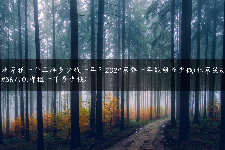北京租一个车牌多少钱一年？2024京牌一年能租多少钱(北京的车牌租一年多少钱)