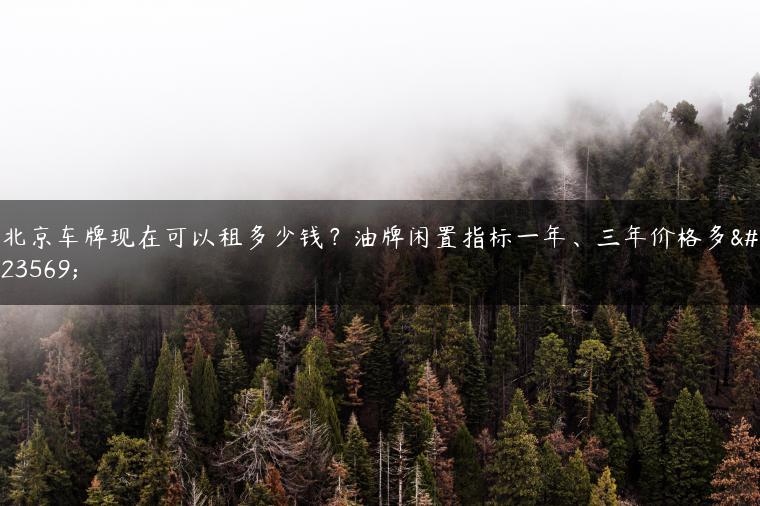 北京车牌现在可以租多少钱？油牌闲置指标一年、三年价格多少
