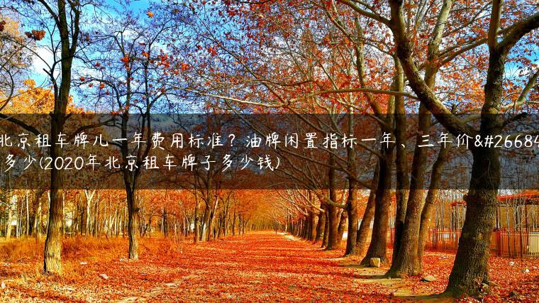北京租车牌儿一年费用标准？油牌闲置指标一年、三年价格多少(2020年北京租车牌子多少钱)