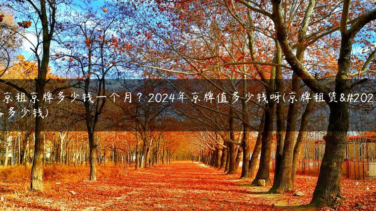 北京租京牌多少钱一个月？2024年京牌值多少钱呀(京牌租赁价格多少钱)