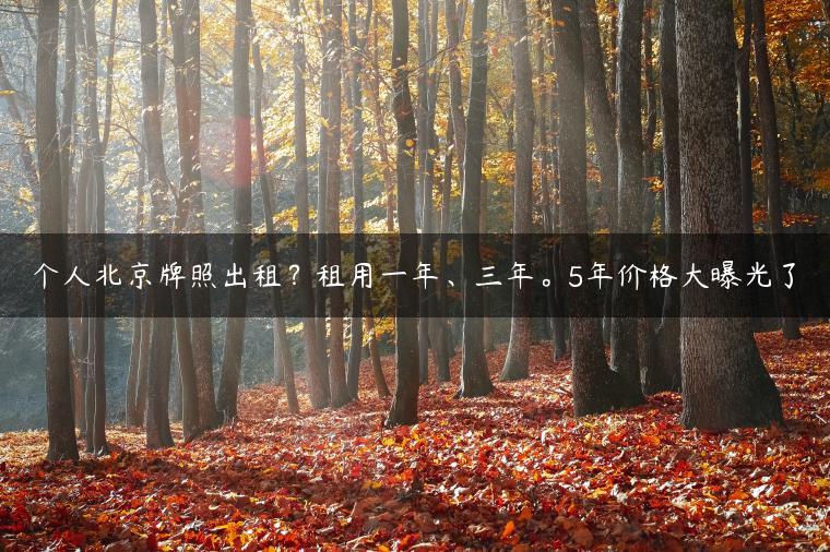 个人北京牌照出租？租用一年、三年。5年价格大曝光了