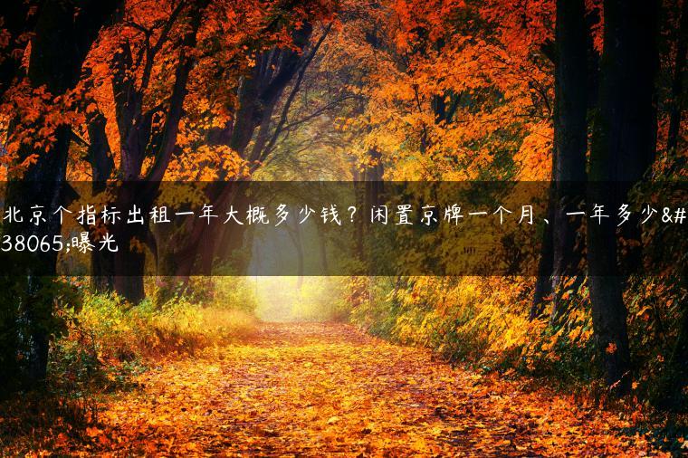 北京个指标出租一年大概多少钱？闲置京牌一个月、一年多少钱曝光