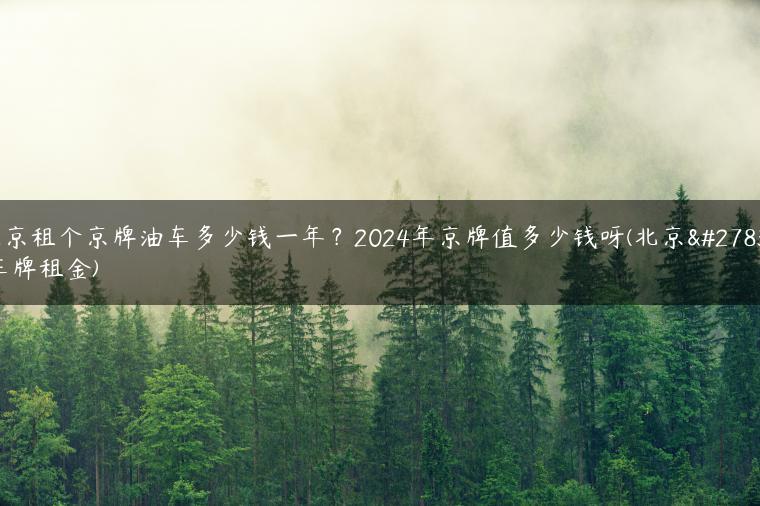 北京租个京牌油车多少钱一年？2024年京牌值多少钱呀(北京油车牌租金)