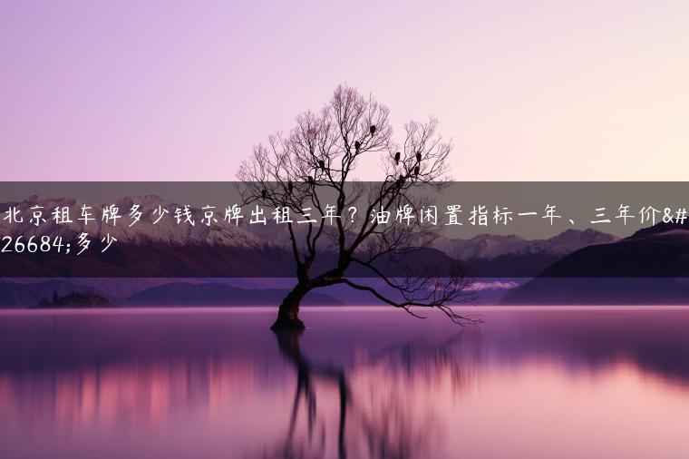 北京租车牌多少钱京牌出租三年？油牌闲置指标一年、三年价格多少