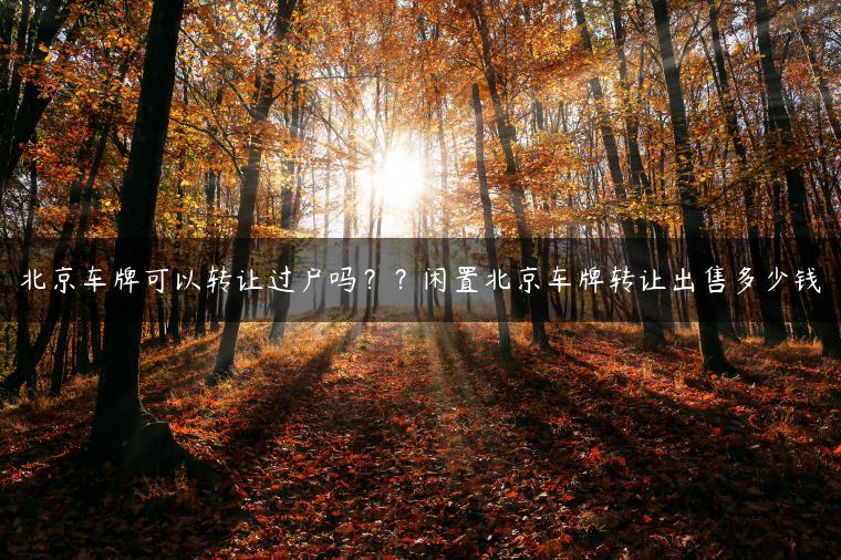 北京车牌可以转让过户吗？？闲置北京车牌转让出售多少钱