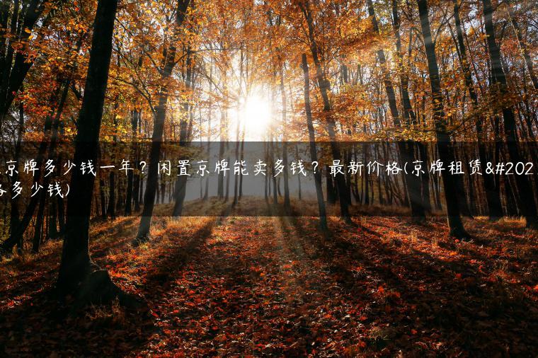 租京牌多少钱一年？闲置京牌能卖多钱？最新价格(京牌租赁价格多少钱)