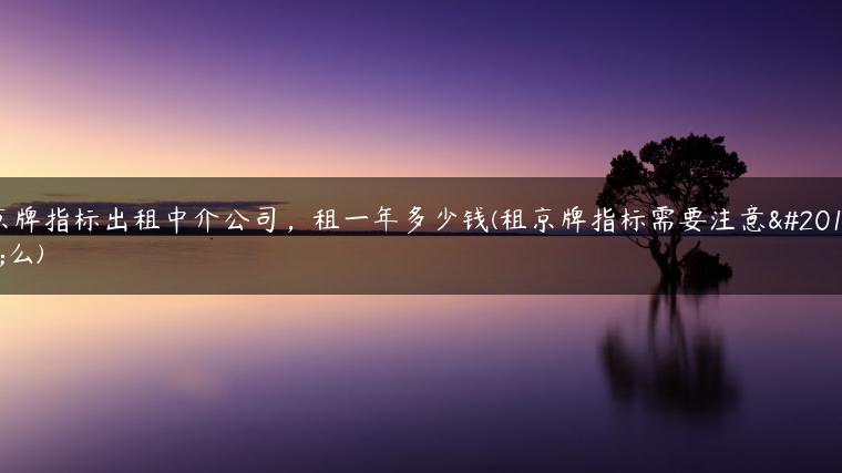 京牌指标出租中介公司，租一年多少钱(租京牌指标需要注意什么)