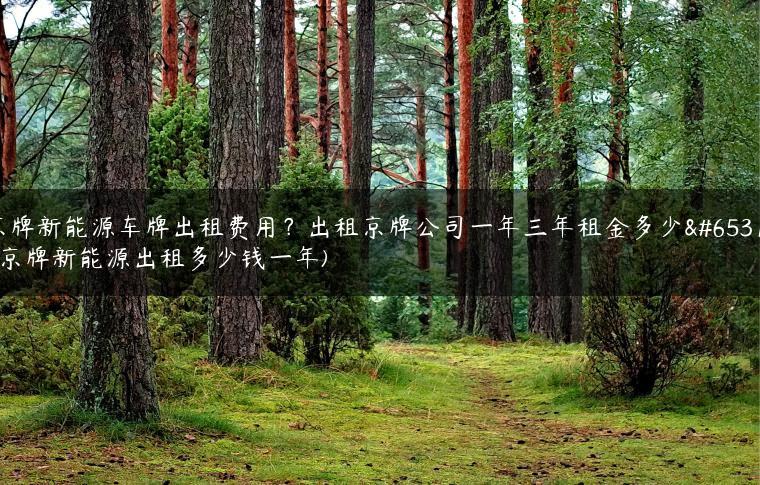 京牌新能源车牌出租费用？出租京牌公司一年三年租金多少？(京牌新能源出租多少钱一年)