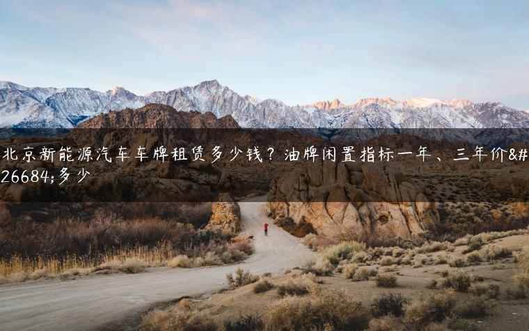 北京新能源汽车车牌租赁多少钱？油牌闲置指标一年、三年价格多少