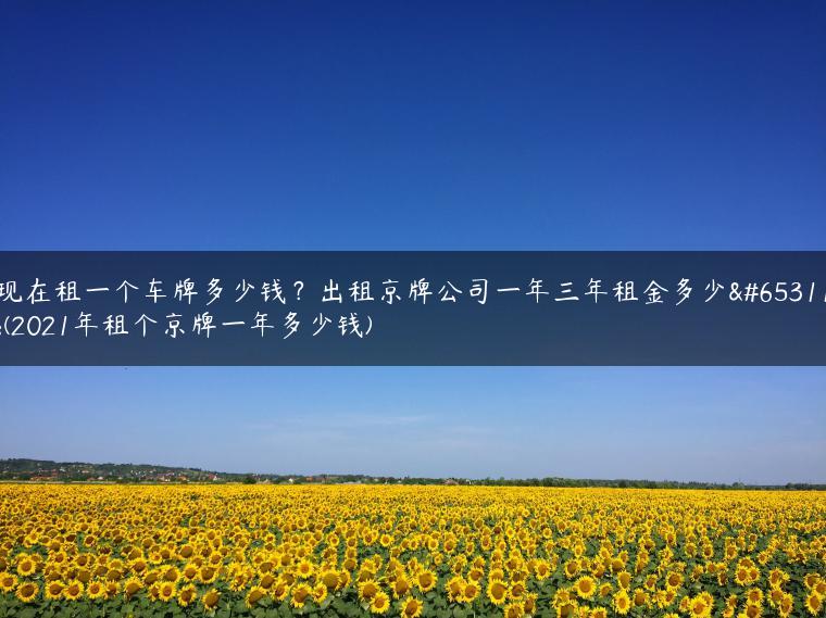 现在租一个车牌多少钱？出租京牌公司一年三年租金多少？(2021年租个京牌一年多少钱)