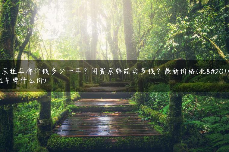北京租车牌价钱多少一年？闲置京牌能卖多钱？最新价格(北京租车牌什么价)
