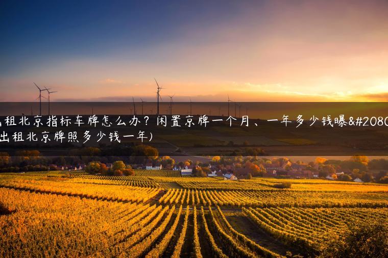 出租北京指标车牌怎么办？闲置京牌一个月、一年多少钱曝光(出租北京牌照多少钱一年)