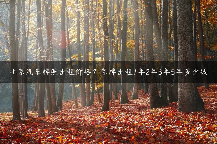 北京汽车牌照出租价格？京牌出租1年2年3年5年多少钱