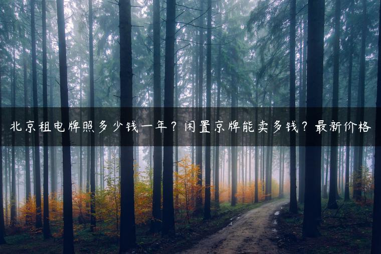 北京租电牌照多少钱一年？闲置京牌能卖多钱？最新价格