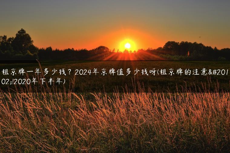 租京牌一年多少钱？2024年京牌值多少钱呀(租京牌的注意了!2020年下半年)