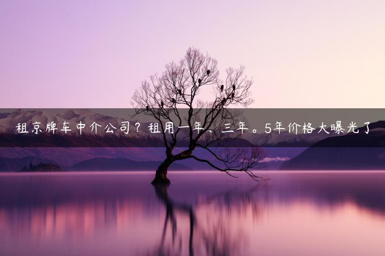 租京牌车中介公司？租用一年、三年。5年价格大曝光了