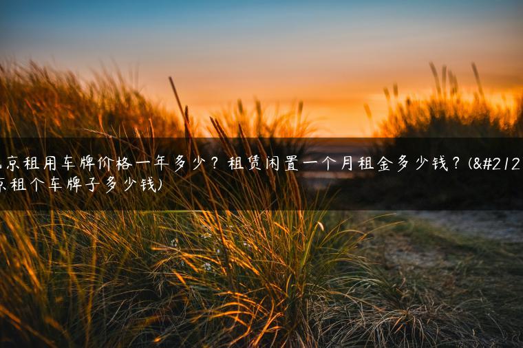 北京租用车牌价格一年多少？租赁闲置一个月租金多少钱？(北京租个车牌子多少钱)