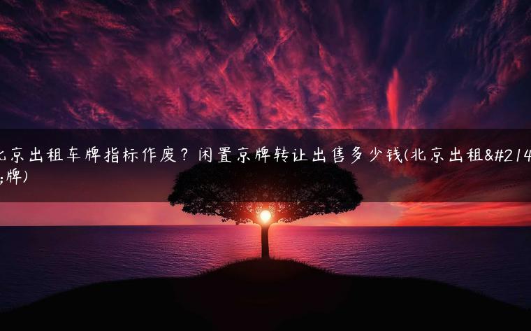 北京出租车牌指标作废？闲置京牌转让出售多少钱(北京出租号牌)