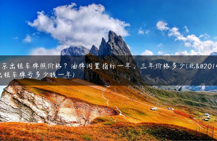 北京出租车牌照价格？油牌闲置指标一年、三年价格多少(北京出租车牌号多少钱一年)