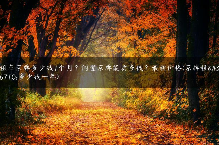 租车京牌多少钱1个月？闲置京牌能卖多钱？最新价格(京牌租车多少钱一年)