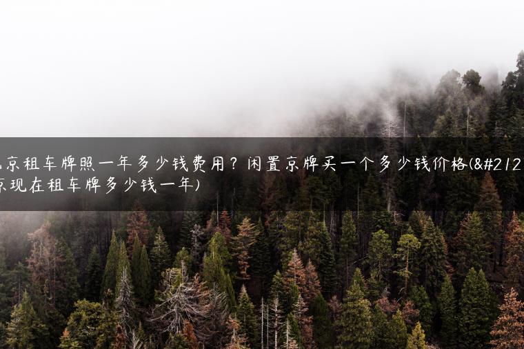 北京租车牌照一年多少钱费用？闲置京牌买一个多少钱价格(北京现在租车牌多少钱一年)
