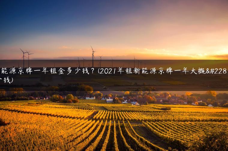 新能源京牌一年租金多少钱？(2021年租新能源京牌一年大概多少钱)