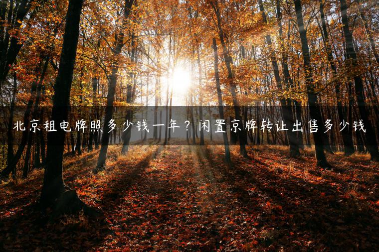 北京租电牌照多少钱一年？闲置京牌转让出售多少钱