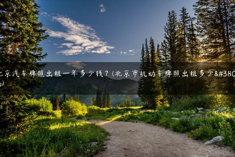 北京汽车牌照出租一年多少钱？(北京市机动车牌照出租多少钱)