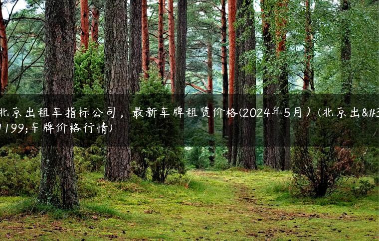 北京出租车指标公司，最新车牌租赁价格(2024年5月）(北京出租车牌价格行情)