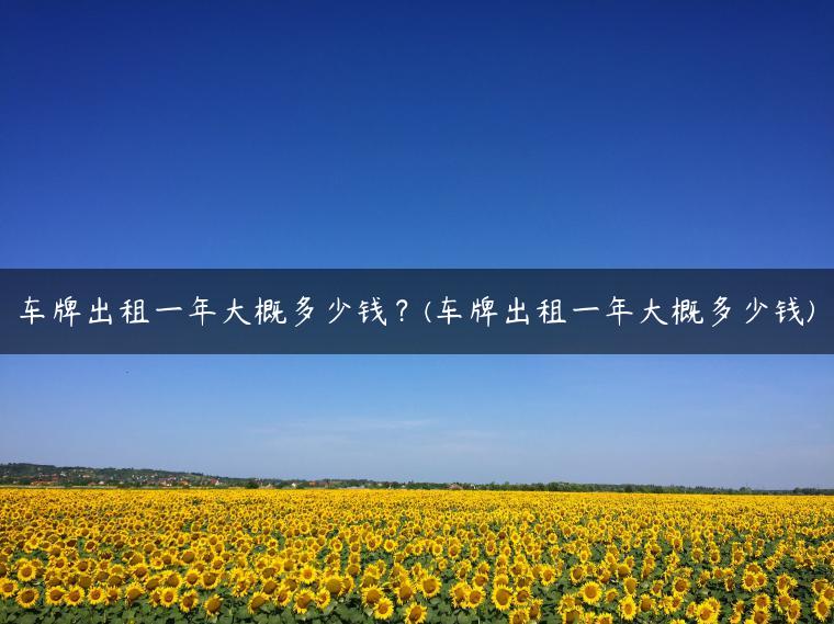 车牌出租一年大概多少钱？(车牌出租一年大概多少钱)