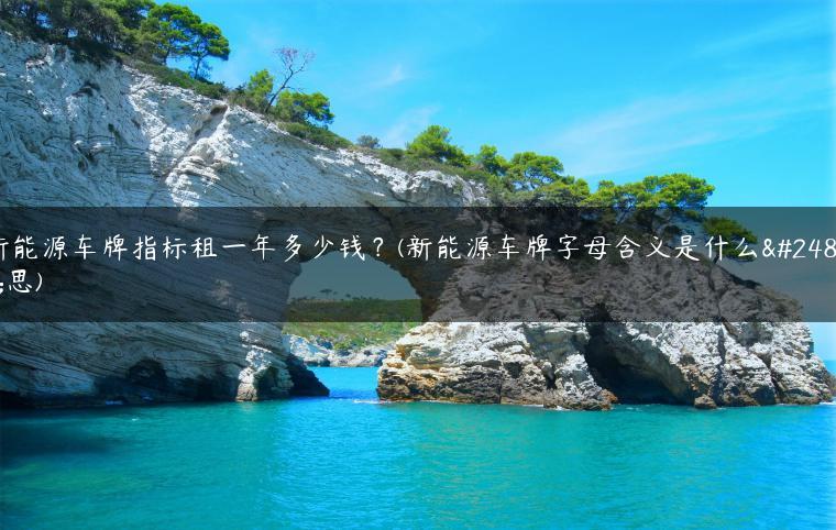 新能源车牌指标租一年多少钱？(新能源车牌字母含义是什么意思)