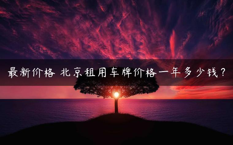 最新价格 北京租用车牌价格一年多少钱？