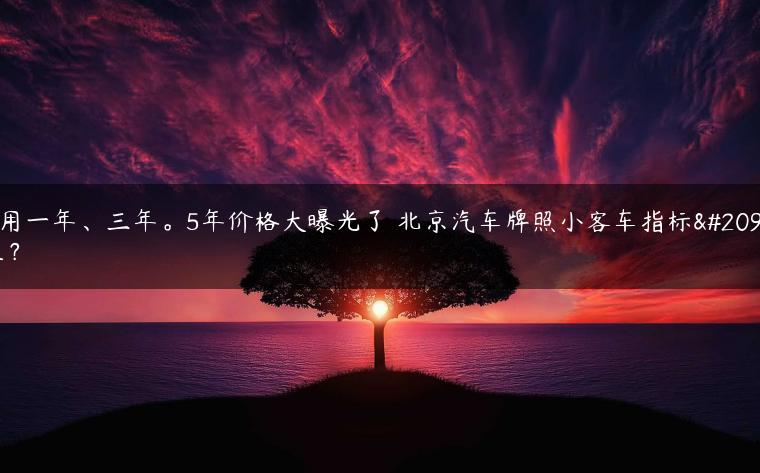 租用一年、三年。5年价格大曝光了 北京汽车牌照小客车指标出租？