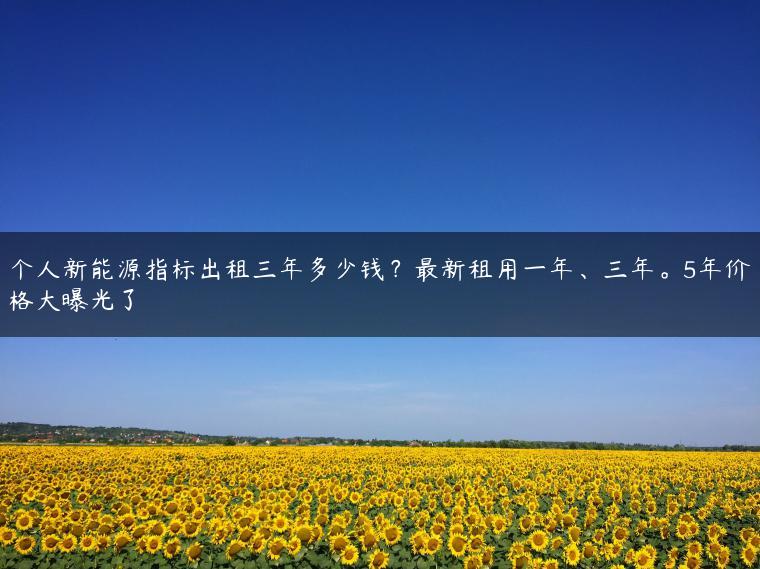 个人新能源指标出租三年多少钱？最新租用一年、三年。5年价格大曝光了