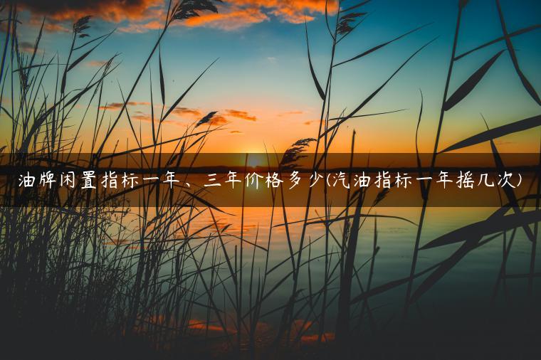 油牌闲置指标一年、三年价格多少(汽油指标一年摇几次)-金牌车友