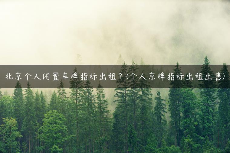 北京个人闲置车牌指标出租？(个人京牌指标出租出售)