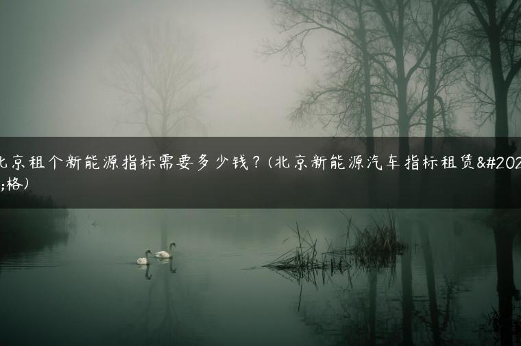 北京租个新能源指标需要多少钱？(北京新能源汽车指标租赁价格)