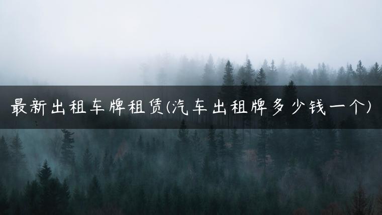 最新出租车牌租赁(汽车出租牌多少钱一个)
