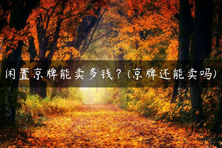 闲置京牌能卖多钱？(京牌还能卖吗)