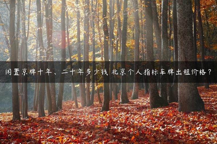 闲置京牌十年、二十年多少钱 北京个人指标车牌出租价格？