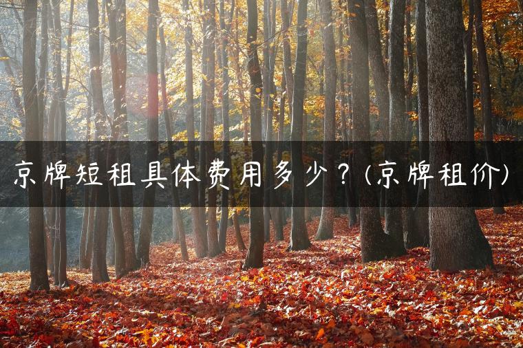 京牌短租具体费用多少？(京牌租价)